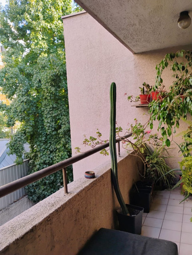 Comodo Y Acogedor Dpto. 3 Dorm 2 Bañ. Cauquenes, Plaza Egaña