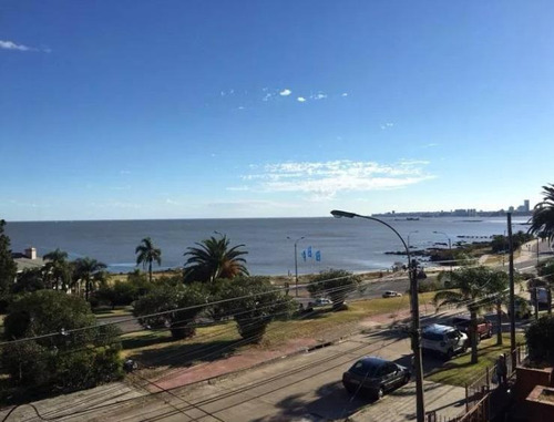 Casa - Punta Gorda