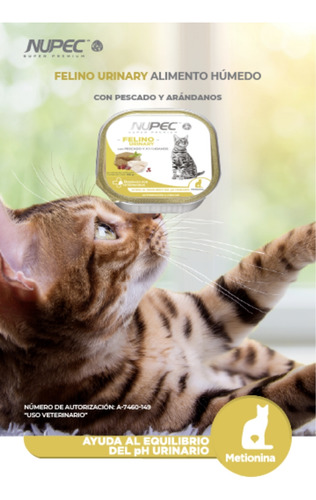 32 Latas Nupec Felino Urinary 100g | Prevención Cristales