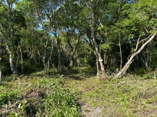 Imagem 4 de 6 de Terreno Na Praia Com 280 M². Itanhaém-sp | 7696-pc