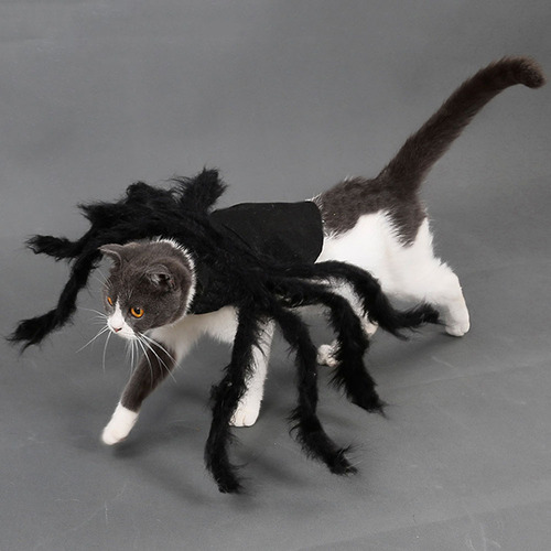 T Disfraz De Araña Para Mascotas De Halloween Para Perro