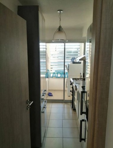 Imagen 2 de 10 de Apartamento De 3 Dormitorios En Maldonado, Bajos Gastos Comunes