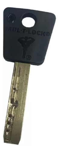 Candado De Alta Seguridad Mx7020 G47 Mul-t-lock Gris