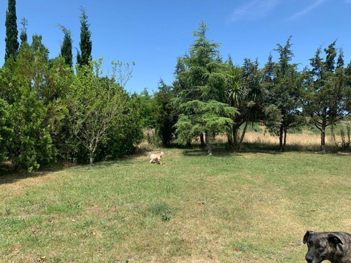 Vendo Muy Linda Chacra Con 3 Casas, 2 Galpones Y Un Parque Arbolado Único!!!!!!!!!!