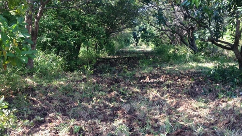 Imagen 4 de 4 de Terreno En Venta Puerto Vallarta