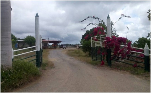 Imagen 8 de 8 de Se Vende Finca Vía Caripito, Sector Tropical Ve02-500vc-lm