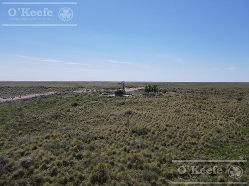Campo En Venta De 27950 Has En Gral Alvear Mendoza. Armada Para Cria/recria