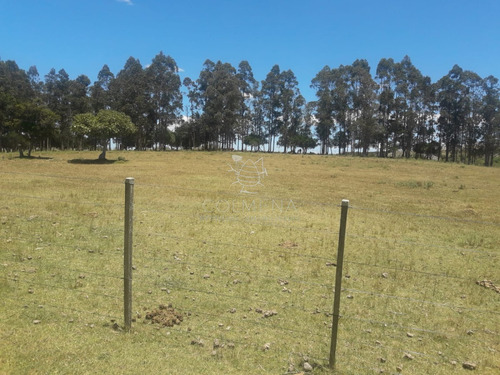 Campo Por Ruta 12 Con Muy Buena Casa 