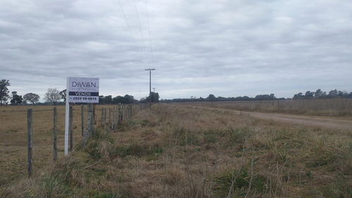 Imagen 2 de 4 de Campo En Venta - Gral Juan Madariaga