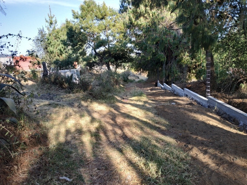 Imagen 7 de 7 de Terreno Colonia Zacapexco