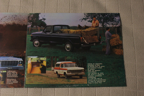 Ford Pick Up F100 Y F250 1981 Catalogo De Venta (Usado)