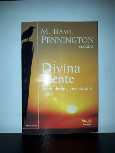 Divina Mente - M. Basil Pennington