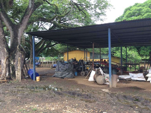 Imagen 20 de 21 de Finca Cerca De Rio Tiznado A 50 Km De Calabozo