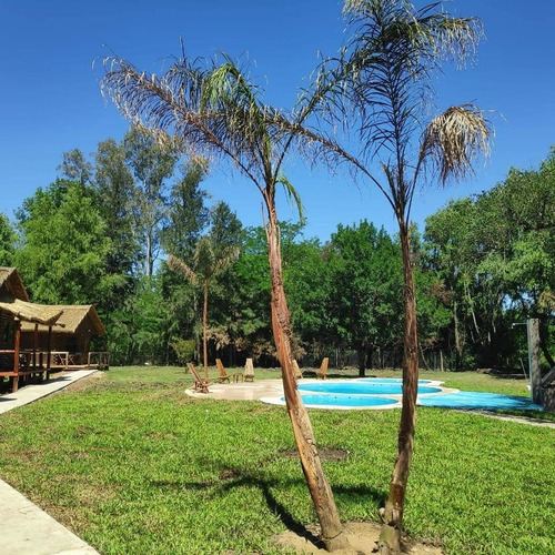 Imagen 9 de 14 de Complejo De Cabañas Aparts Y Duplex En Gualeguaychu , Con Piletas Parrillas ,estacionamiento , Aceptamos Mascotas