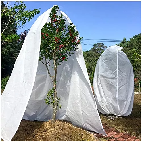 Manta Termica Plantas