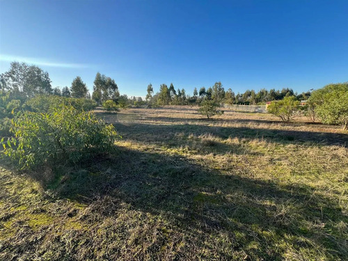 Parcela En Venta En Algarrobo