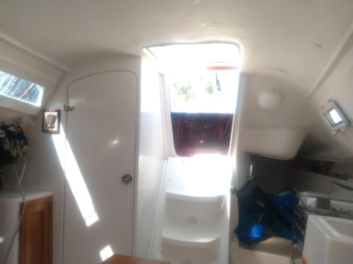 Imagen 9 de 13 de Velero Malbec 290