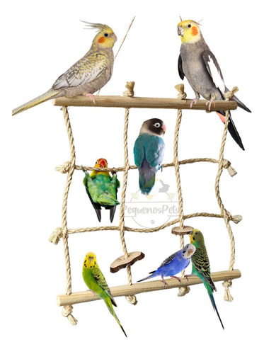 Brinquedo Para Calopsita, Agaporne, Periquito, Papagaio Rede