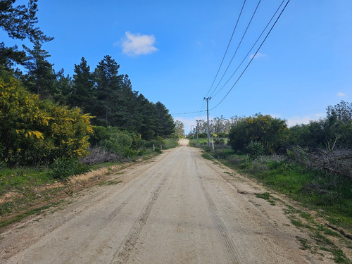 Hacienda Algarrobo, 5000 M2,portería, Rol, Red De Luz Y Agua