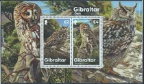 Comprar 2020 Fauna- Aves Búhos- Gibraltar (bloque) Mint