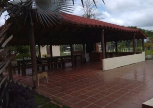 Imagen 6 de 14 de Venta Finca Los Apamates Boca De Aroa Piscina Cod. 426996 Cesar Laurentin