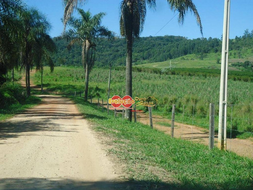 Imagem 1 de 23 de Fazenda - Município Amparo-sp/ Pedreira-sp - Fa0028