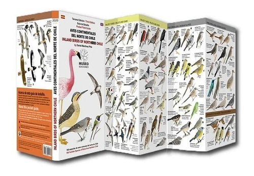 Libro Aves Continentales Del Norte De Chile Travel Books