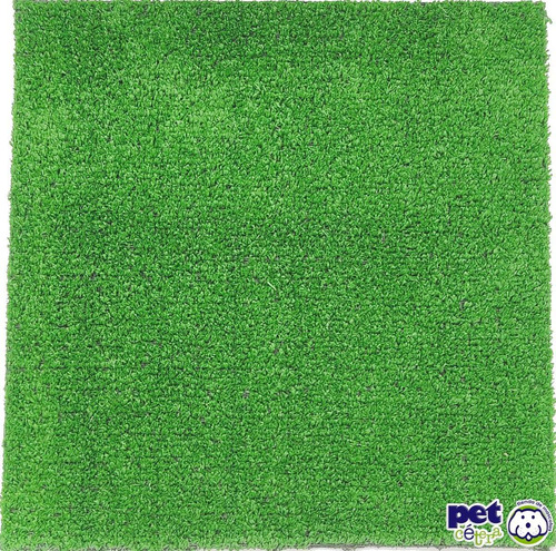 Imagen 3 de 3 de Tapete De Pasto Sintético | Para Terrarios Y Tortugueros | L