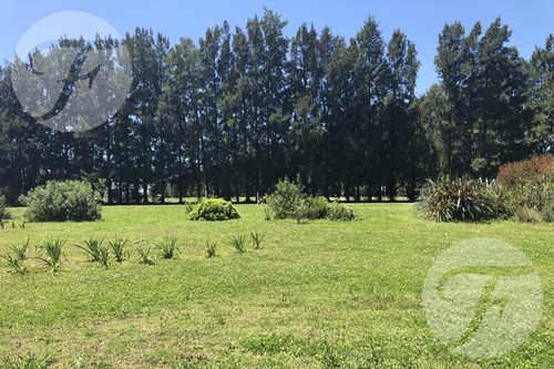 Imagen 30 de 30 de Disponibilidad Inmediata