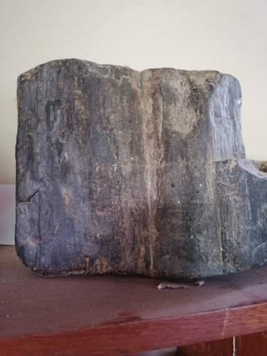 10 Kilos  Madera Negro Petrificada Extremadamente Rara