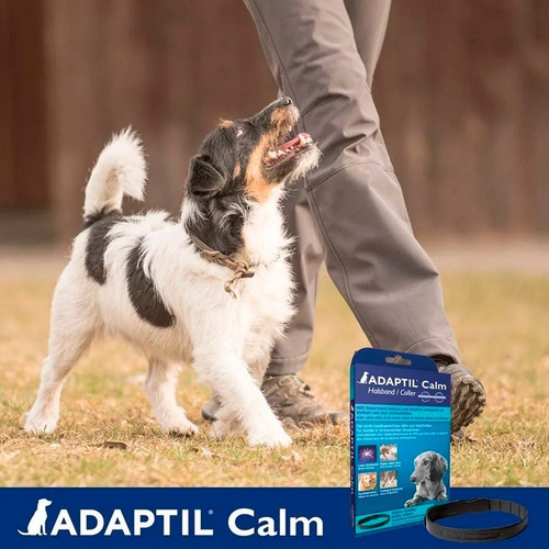 Imagen 6 de 10 de Adaptil Collar Feromona Perros Grandes Ansiedad Anti Stress