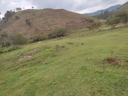 Lotes En Concepcion Planos Con Acceso Al Rio