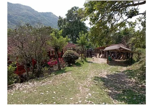 Vendo Finca De 30 Cuadras En Damasco Para Ganadería Cerca La Pintada