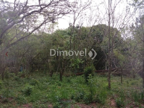 Imagem 3 de 13 de Sitio - Belem Velho - Ref: 21727 - V-21727