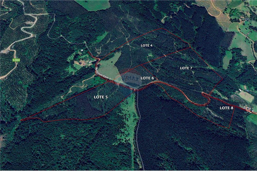 Predio Forestal En Venta 52 Ha. - Mantahue Gorbea
