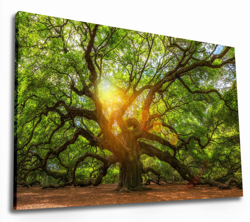 Quadro Decorativo Arvore Da Vida 130x90 Grande