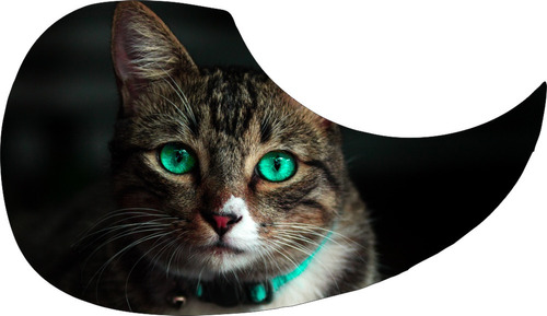 Escudo Palheteira Resinada Violão  Aço Gray Cat