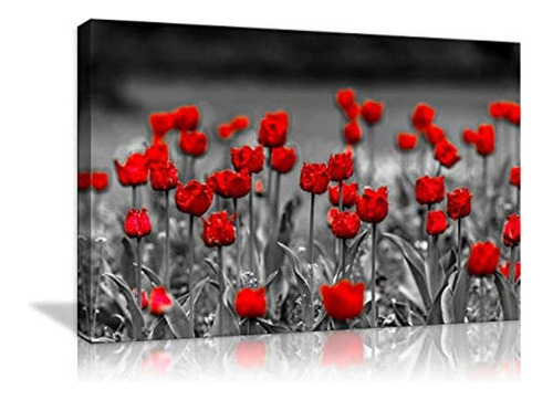 Lienzo Decorativo Con Diseño De Flores De Amapolas Rojas