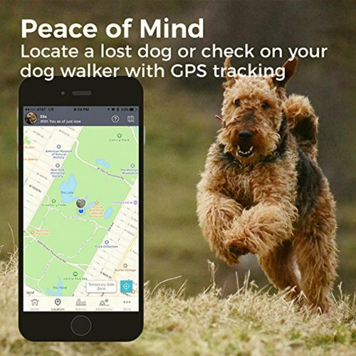 Link Akc Smart Dog Collar Gps Location Tracker, Activity