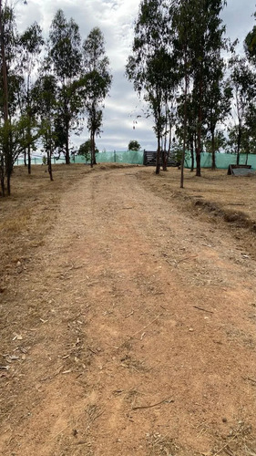 Vendo Amplia Parcela Con Casa En Litueche