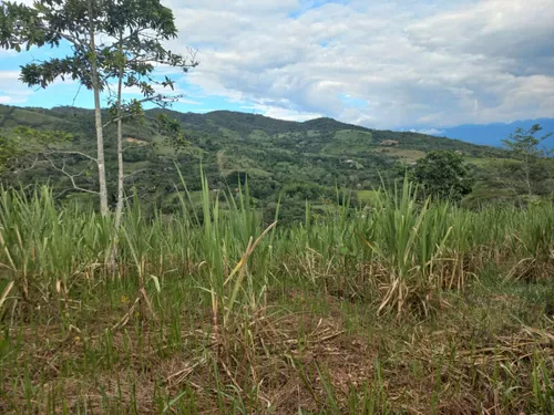 Venta De Lote En Villeta, Vereda Cune