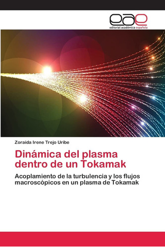 Libro Dinámica Del Plasma Dentro De Un Tokamak: Acopl Lcm6