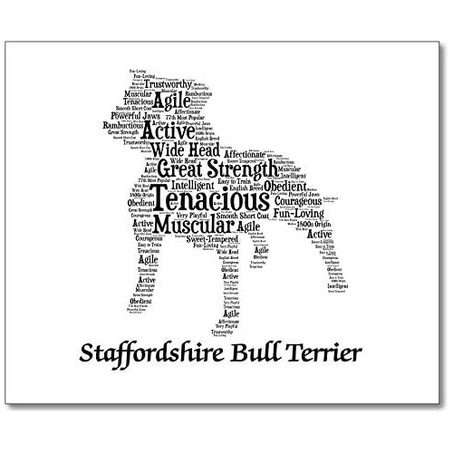 Regalos Amantes De Staffordshire Bull Terrier Mujeres, ...