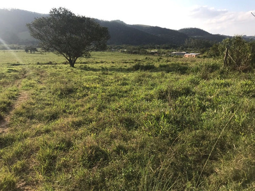 Imagem 7 de 10 de W36-lotes Com Topografia Plaina