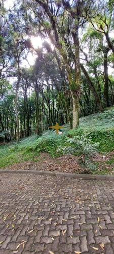 Imagem 2 de 16 de Terrenos Em Canela - Serra Gaúcha - 1079