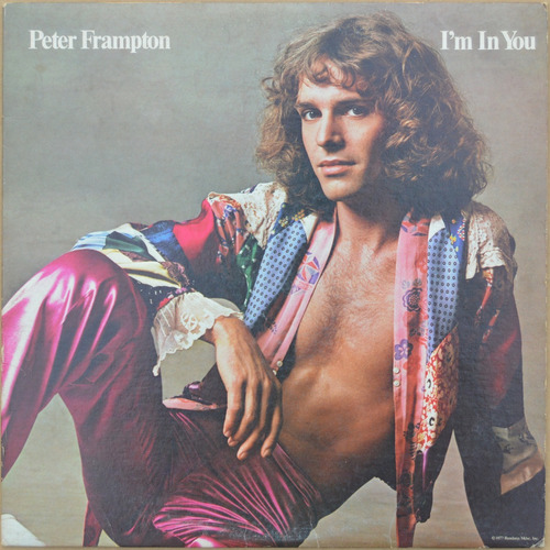 Long Play Vinilo - Peter Frampton · Im In You (usa 1977)