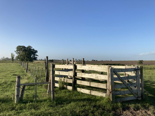 Imagen 10 de 14 de Campo De Casi 12 Hás En Ruta 40