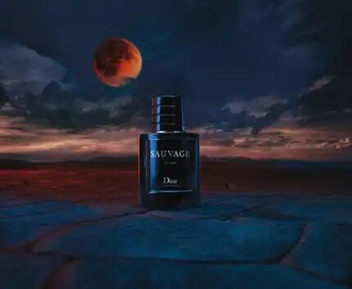 Christian Dior Sauvage Elixir 60ml 100% Original