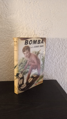 Bomba En La Catarata Gigante - Roy Rockwoord