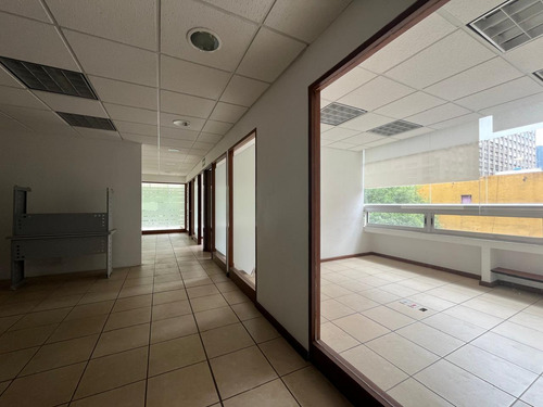 Oficina En Renta- Hamburgo - Piso 3 - 185m2